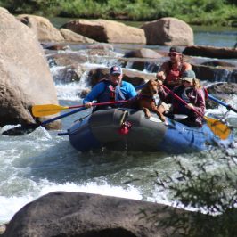 a group of people rowing a boat in the water