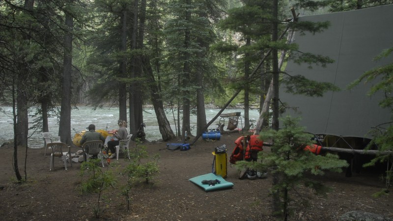 a group of people in a forest