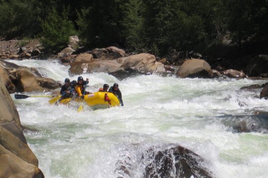 a group of people swimming in a body of water