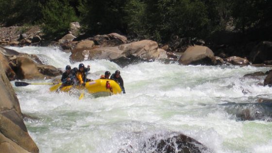 a group of people swimming in a body of water
